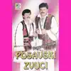 Posavski zvuci - Posavino Moja